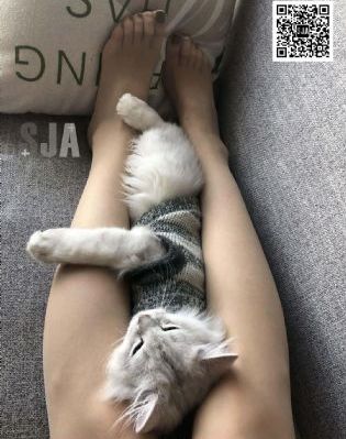 2018天天干夜夜操_1080在线视频播放