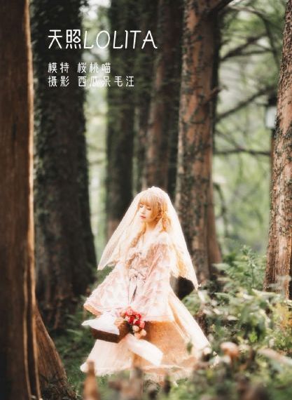 聊斋艳谭电视剧全部播放叶子楣_字幕高清版在线播放