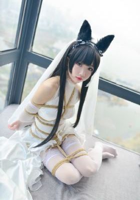 二哈和他的白猫师尊动漫_1080高清电影在线